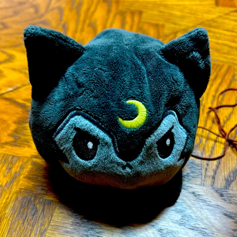 Grumpy Kitty